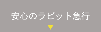 安心のラビット急行